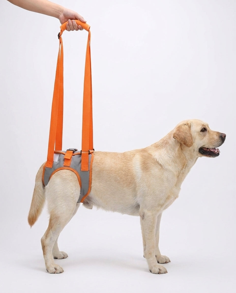 GrandPaw Rear-Leg Support Harness