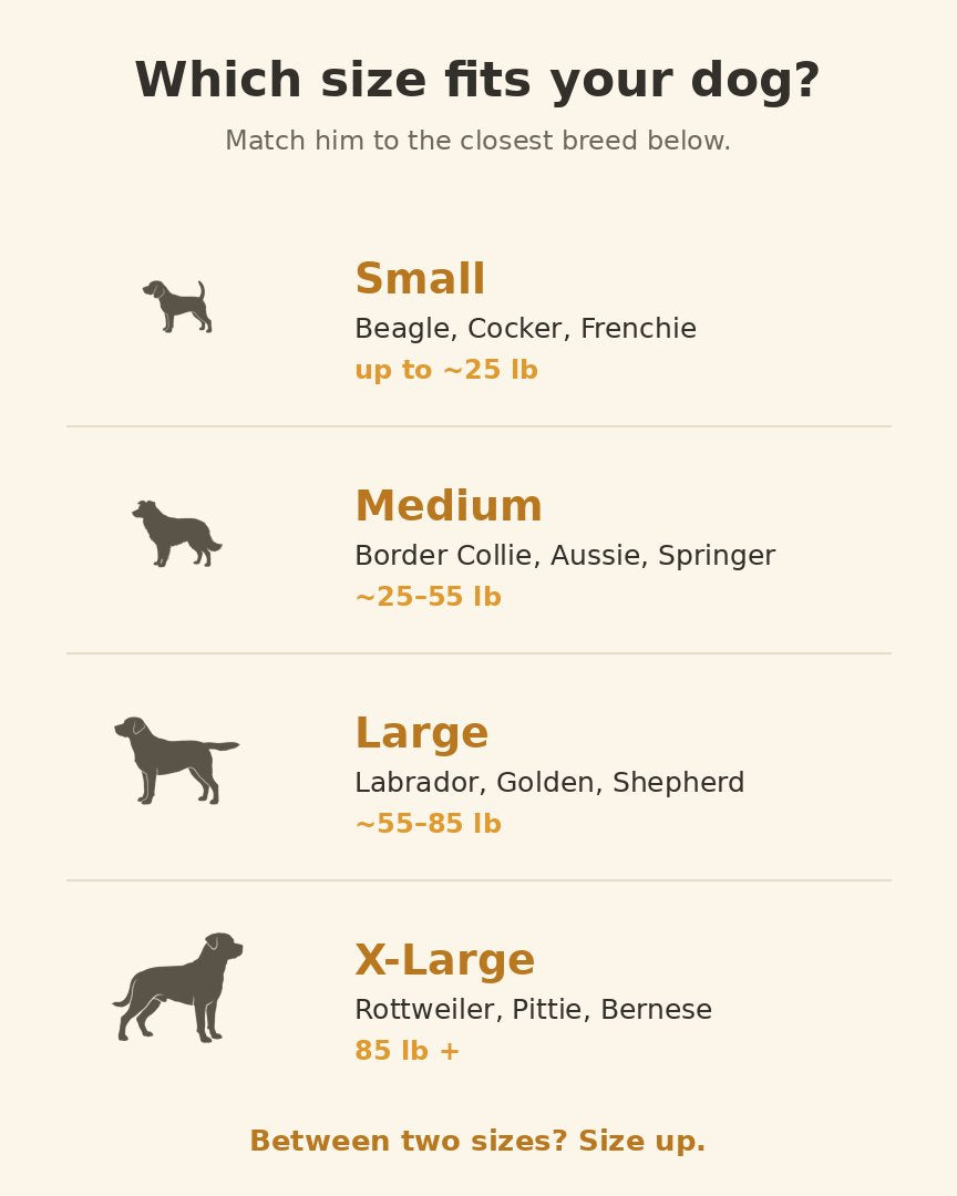 Choose his size